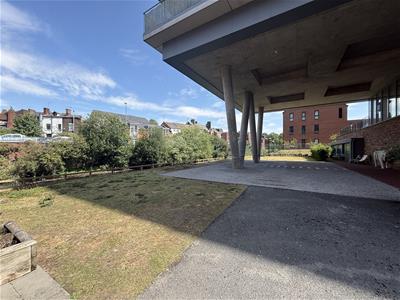 Picture 19